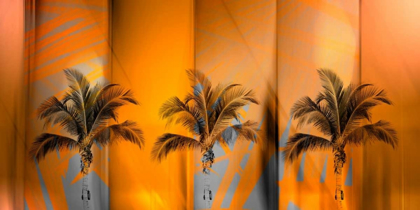 Picture of TROPICANA
