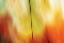 Picture of TIE DYE I