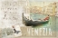 Picture of VENEZIA BUTTERFLY