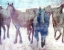 Picture of CALGARY STAMPEDE