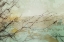 Picture of BRANCHES I