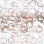 Picture of LINKS