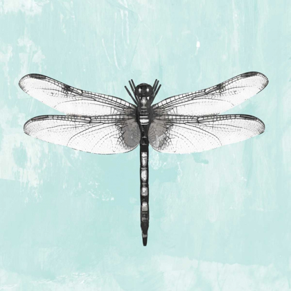Picture of DRAGONFLY I