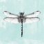 Picture of DRAGONFLY I