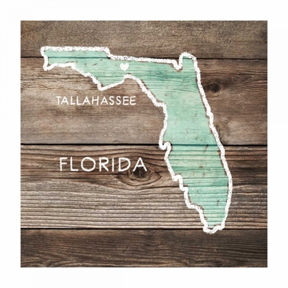 Picture of FLORIDA RUSTIC MAP