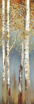 Picture of BUTTERSCOTCH BIRCH TREES I