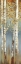 Picture of BUTTERSCOTCH BIRCH TREES I
