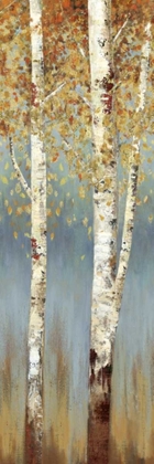 Picture of BUTTERSCOTCH BIRCH TREES II
