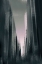 Picture of NEW YORK NOIR