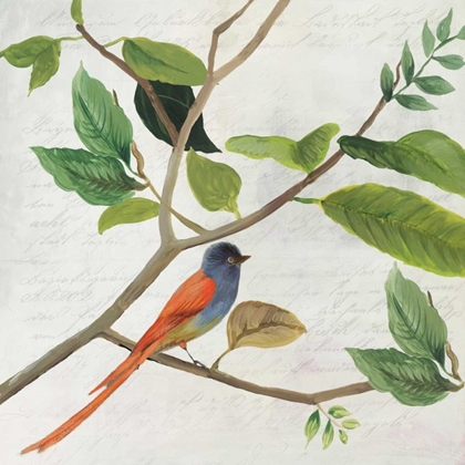 Picture of SINGING BIRD II