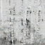 Picture of BIRCH PERSPECTIVE GREY III