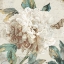 Picture of MORNING PEONY I