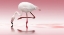 Picture of REINDL - FLAMINGO