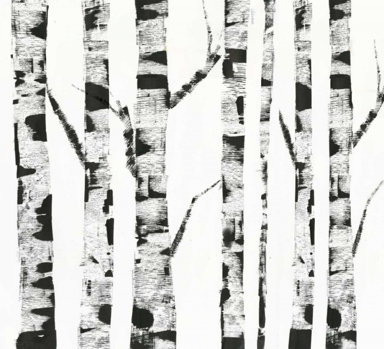 Picture of WHITE BIRCH