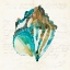 Picture of SHELL