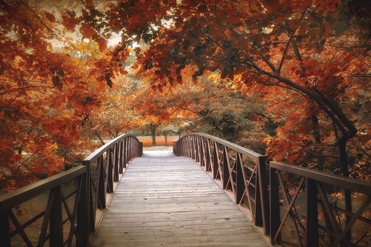 Picture of FOOTBRIDGE