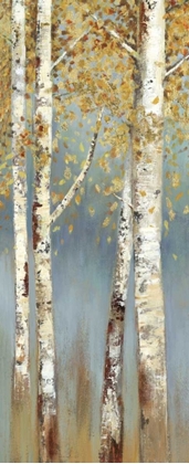 Picture of BUTTERSCOTCH BIRCH TREES I