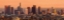 Picture of LOS ANGELES SUNSET