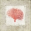 Picture of CORAL LINEN II