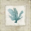 Picture of CHAMBRAY CORAL I