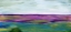 Picture of PASTORAL 
