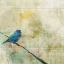 Picture of NESTING BIRD I