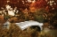 Picture of BOW BRIDGE