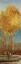 Picture of GINGKO TREE I