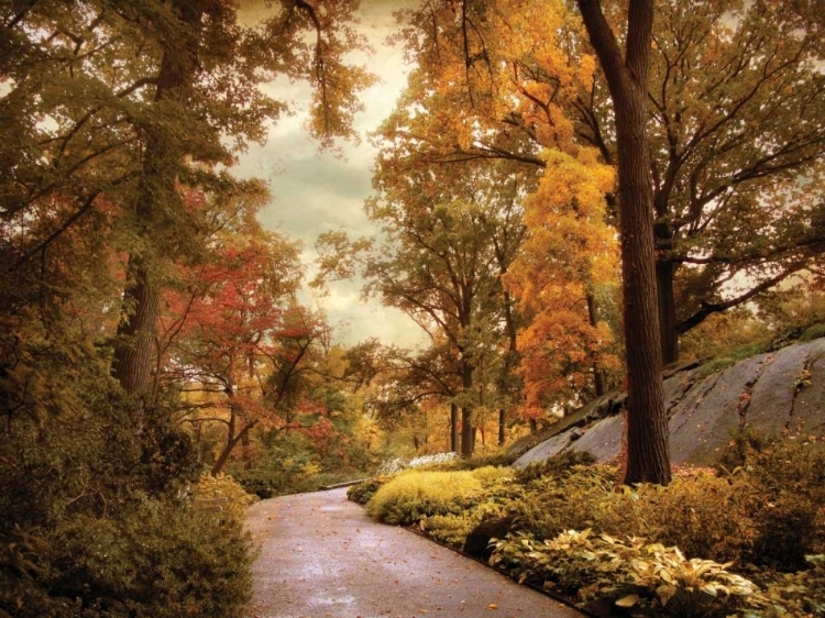 Picture of AZALEA GARDEN IN AUTUMN