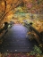 Picture of BRIDGE OVER SHALLOW WATER