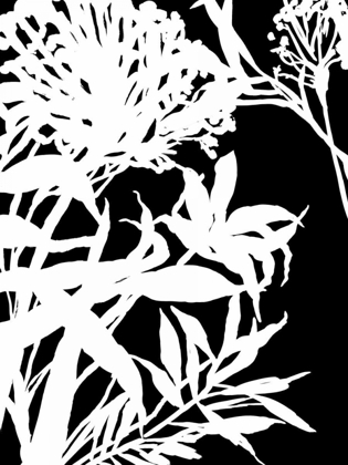 Picture of MONOCHROME FOLIAGE III