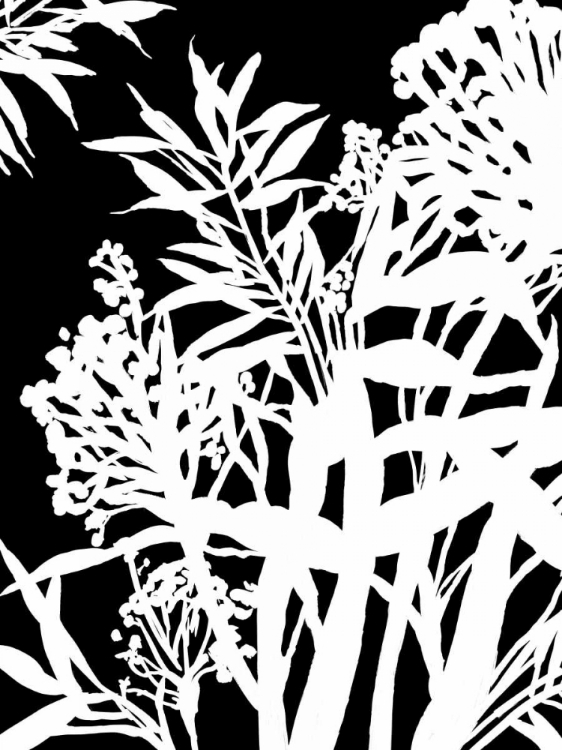 Picture of MONOCHROME FOLIAGE IV