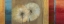 Picture of GOLDEN DANDELIONS