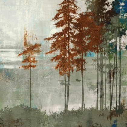 Picture of SPRUCE WOODS II
