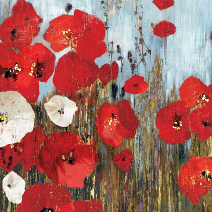 Picture of PASSION POPPIES I