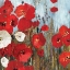 Picture of PASSION POPPIES I