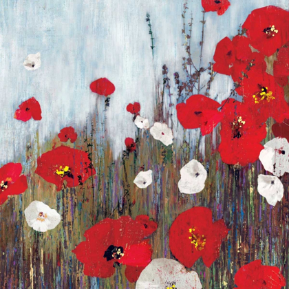 Picture of PASSION POPPIES II