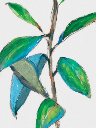 Picture of GREENER