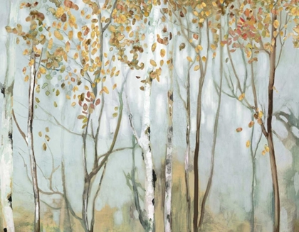 Picture of BIRCH IN THE FOG II