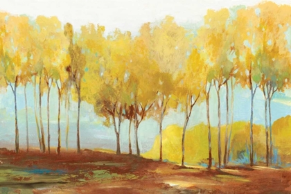 Picture of YELLOW TREES