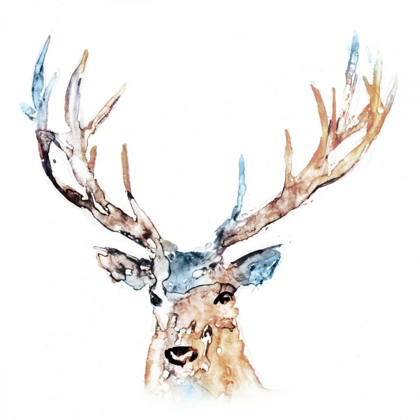 Picture of WATERCOLOUR REINDEER