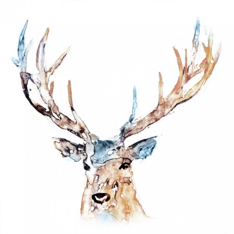 Picture of WATERCOLOUR REINDEER