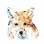 Picture of WATERCOLOUR FOX