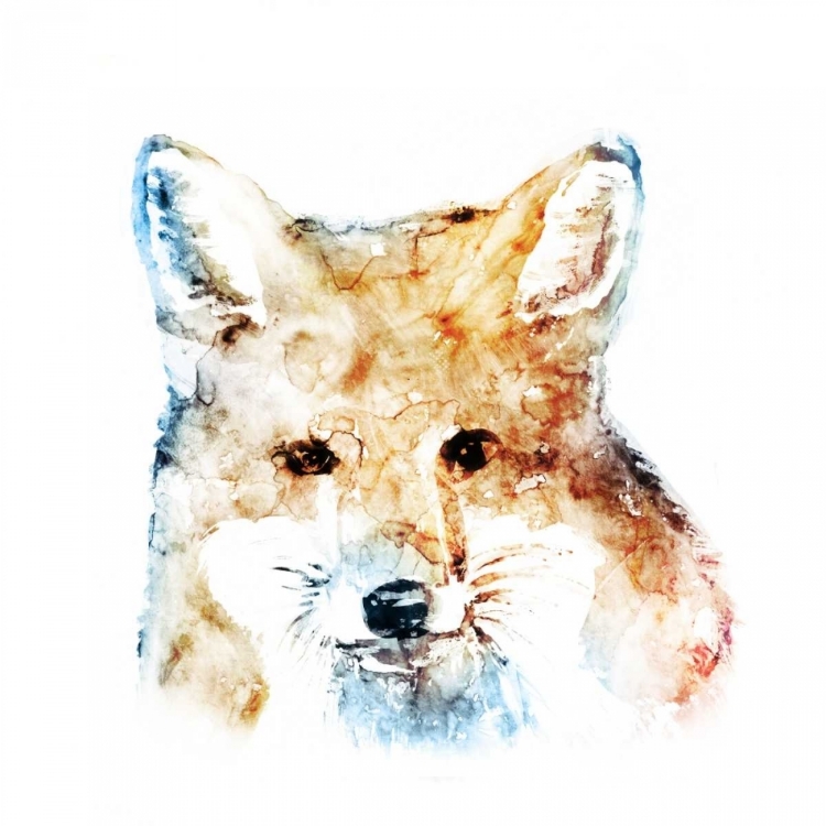 Picture of WATERCOLOUR FOX