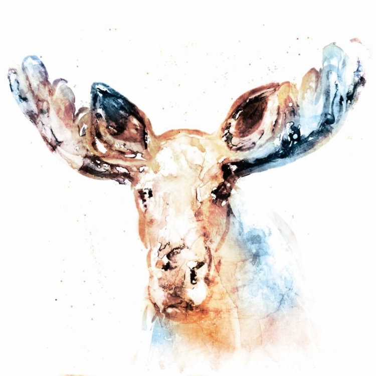 Picture of WATERCOLOUR MOOSE
