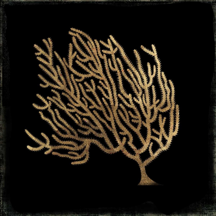 Picture of GOLD CORAL II