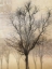 Picture of SOLITAIRE