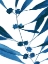 Picture of SAPPHIRE STEMS VII