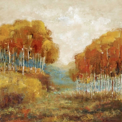 Picture of WEATHERED SCAPE II
