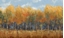 Picture of VIOLET LANDSCAPE